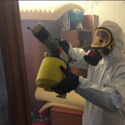 Уничтожение клопов в квартире. Нарткала